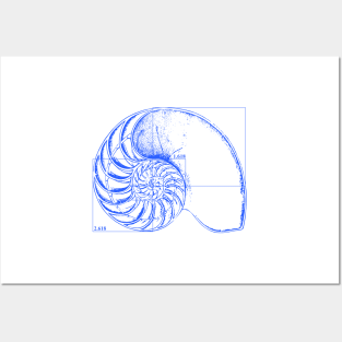 Fibonacci on a nautilus shell (blue) Posters and Art